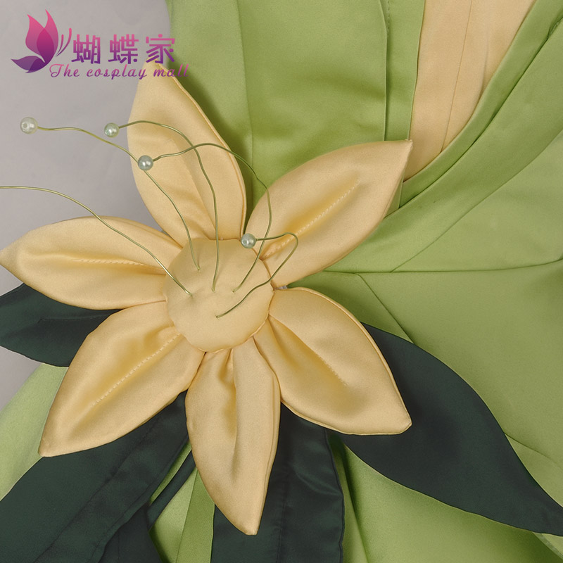 Prinses Tiana Jurk Cosplay Kos - Men'S Accessories For Christmas recensie en prijs