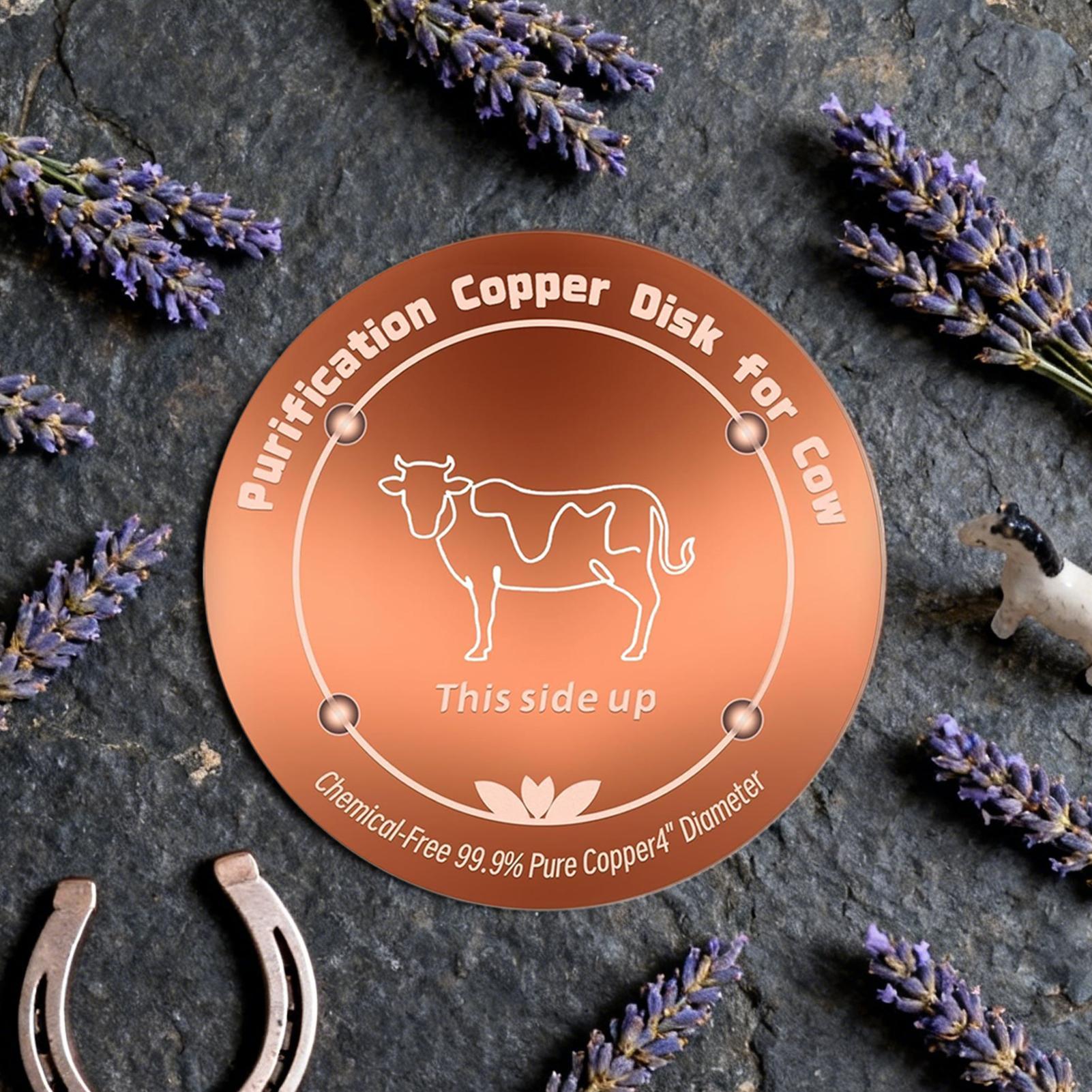 Vogelbad schijf met driepuntss - Men'S Mens Accessories recensie en prijs